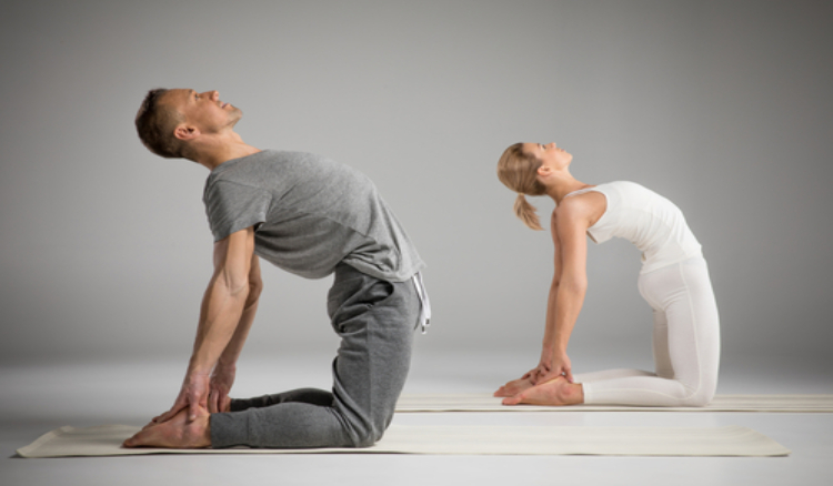  The Power of Yoga: Exploring Hatha Yoga and Its Holistic Benefits