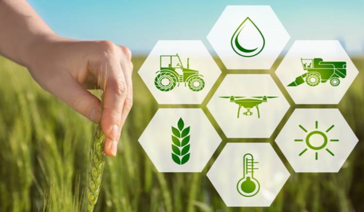  Smart Farming: Technology in Agriculture for Increased Efficiency